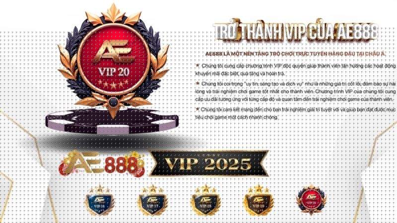 Hệ thống cấp bậc VIP độc quyền